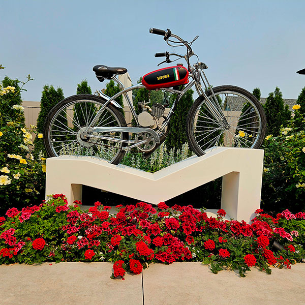 Cohesion Land Design offers many different facets.
