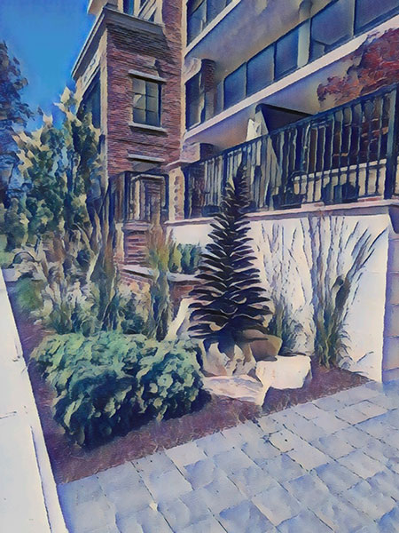 Cohesive Landscape Design combines multi medium designs expertise.