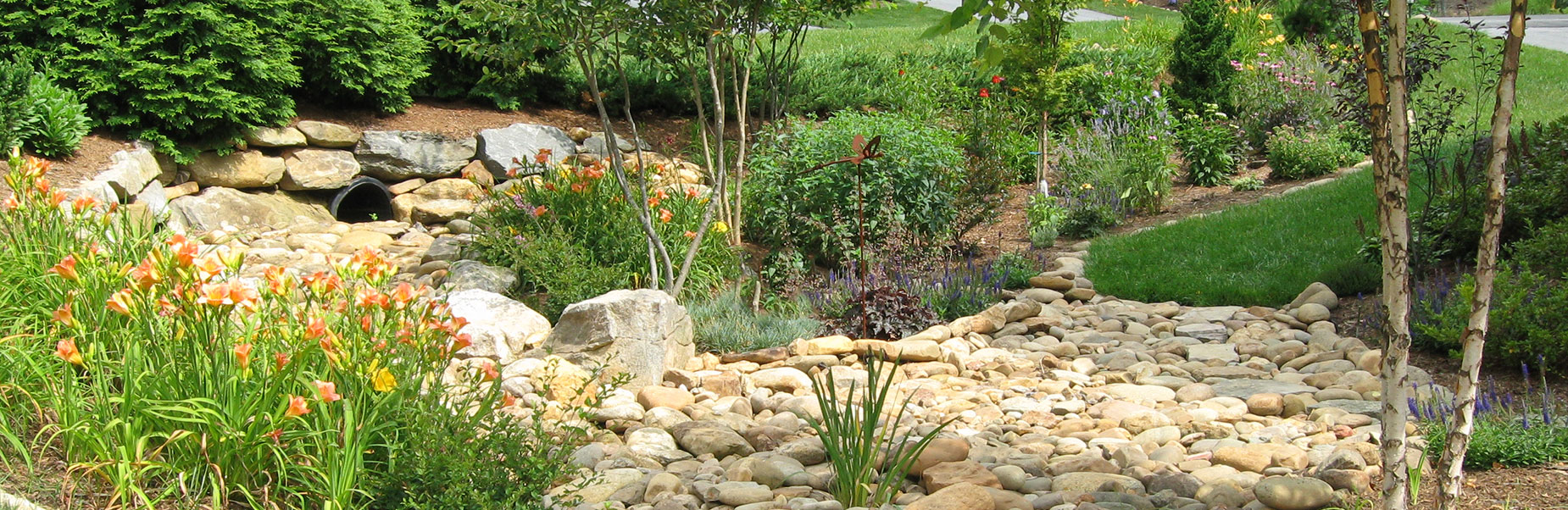 Cohesion Land Design offers professional design and horticultural knowledge