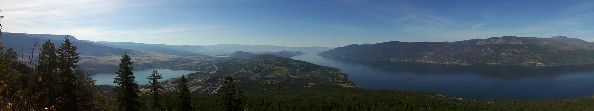 Contact Brenda Alexander at Cohesion Land Design to discuss your land design requirements.