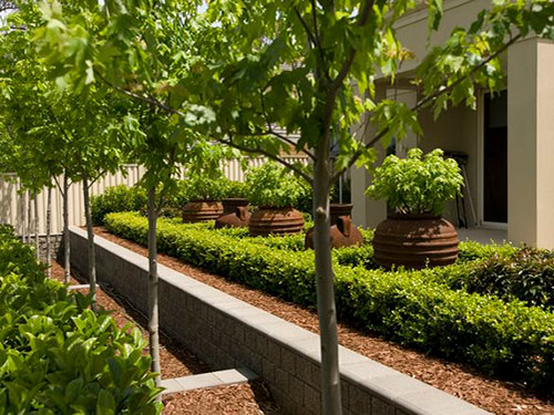 Beautiful landscape designs to enhance your property!