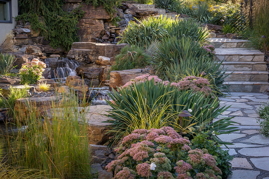 Cohesion Land Design Highpoint Hill project image 9