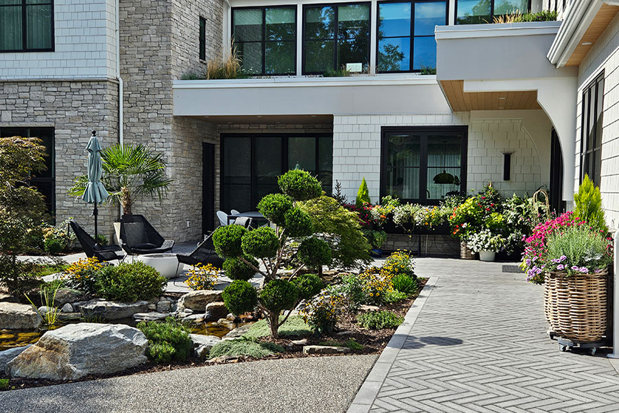 Cohesion Landscape Design project -Linen House Image 11