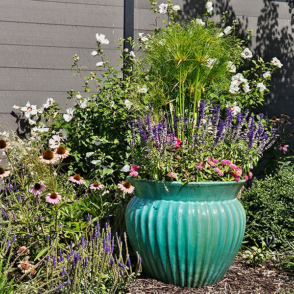 Cohesion Landscape Design project -Linen House Image 4