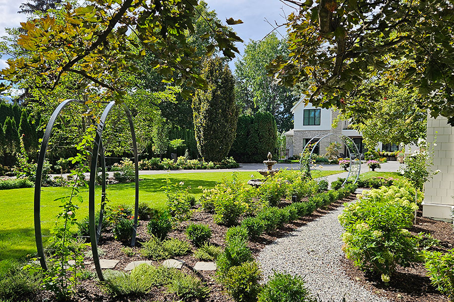 Cohesion Landscape Design project -Linen House Image 8