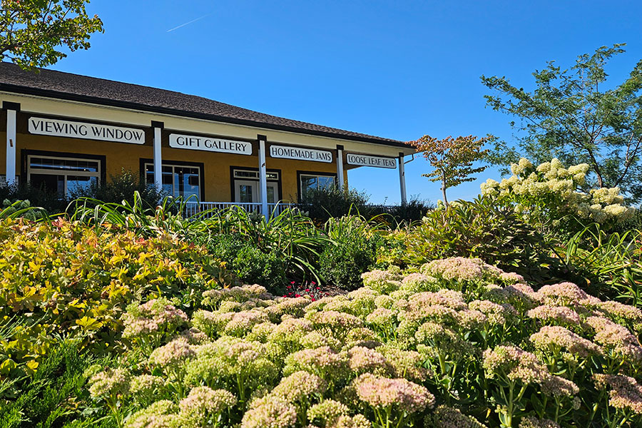 Cohesive Landscape Design varied projects image 5.