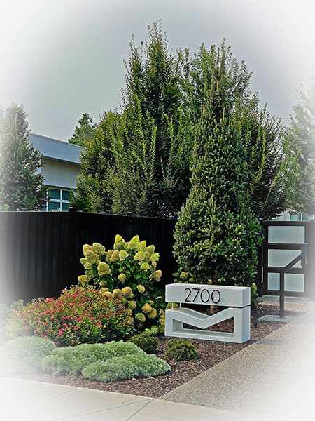 Cohesion Landscape Design project - Lakeshore Luxury